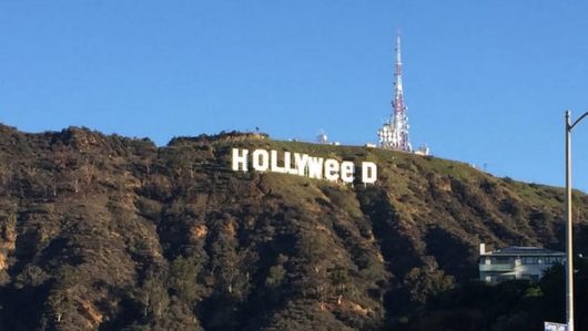 Hollyweed